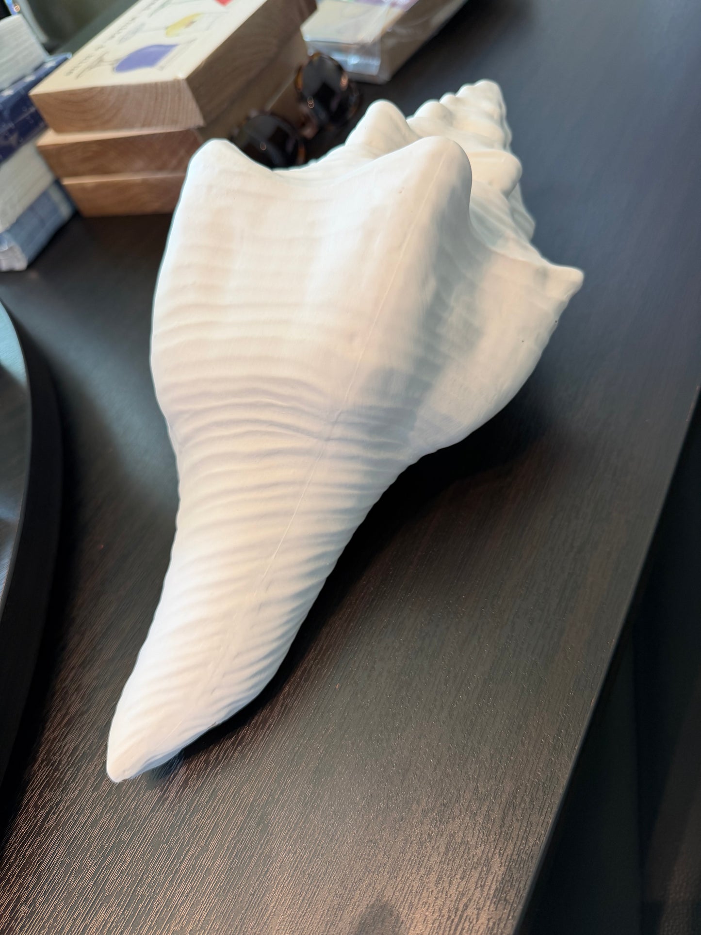 Decor: Large Shell