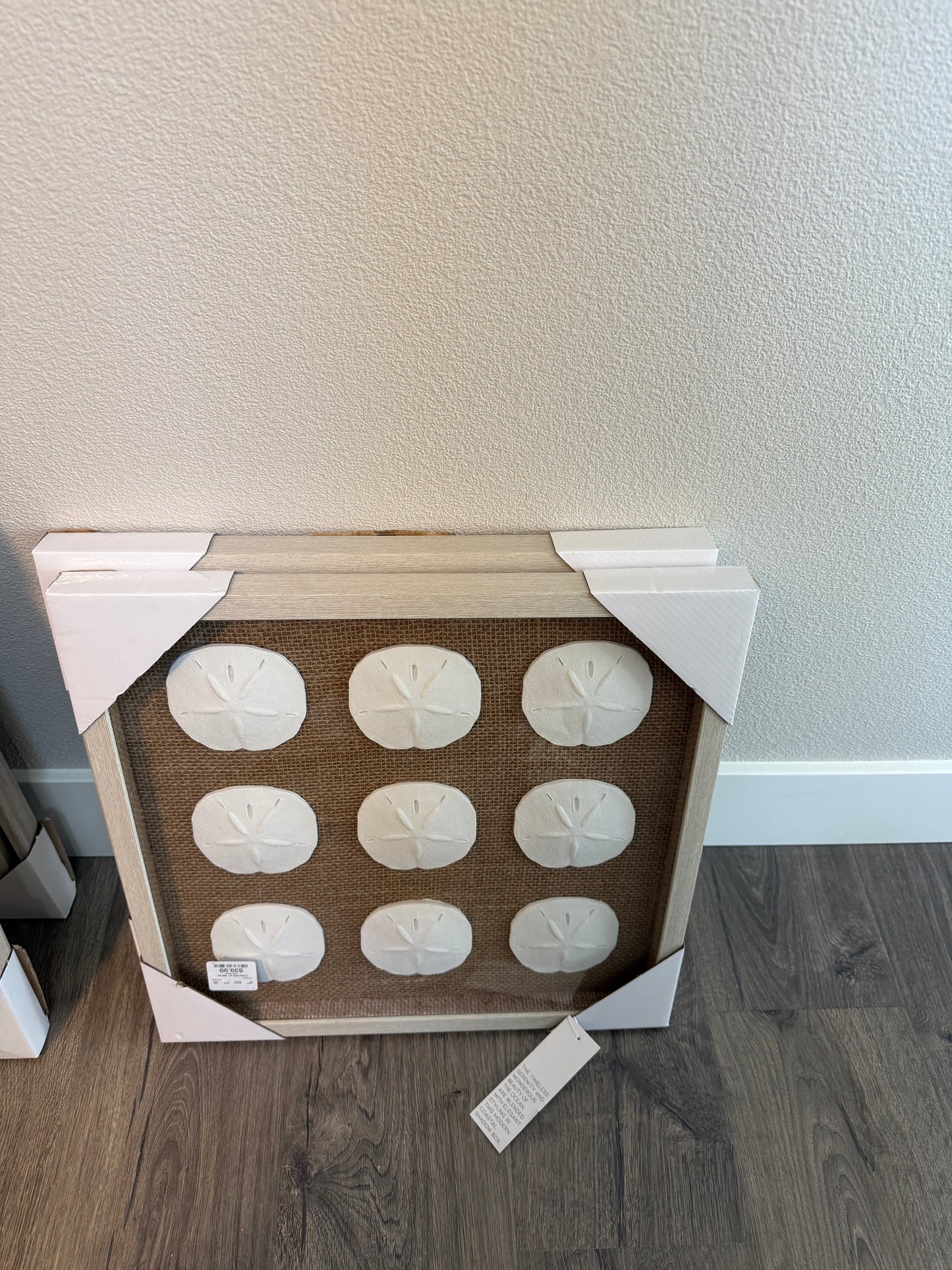 Wall Art: Sanddollar Shadowbox