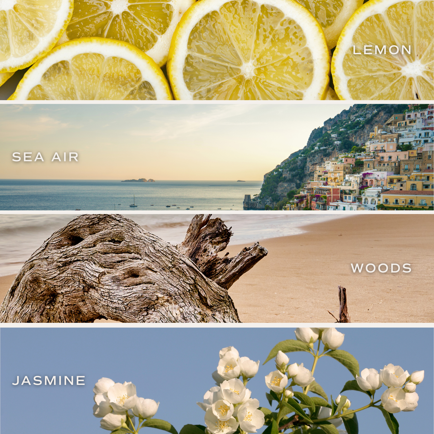 Candle - Coastal Lemon 11 oz Soy Candle