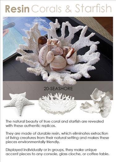 Decor - Large White Flower Coral