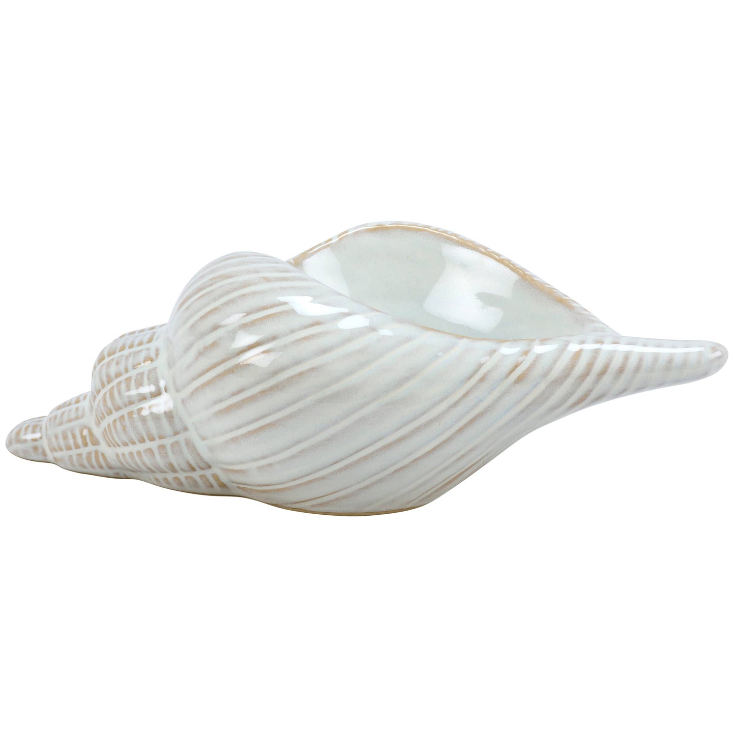Decor: Conch Shell Sitter