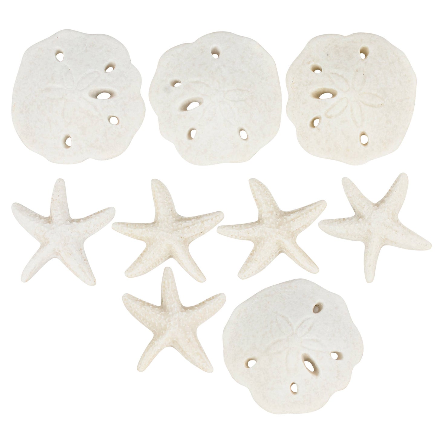 Game - Tic Tac Shells Tabletop Game