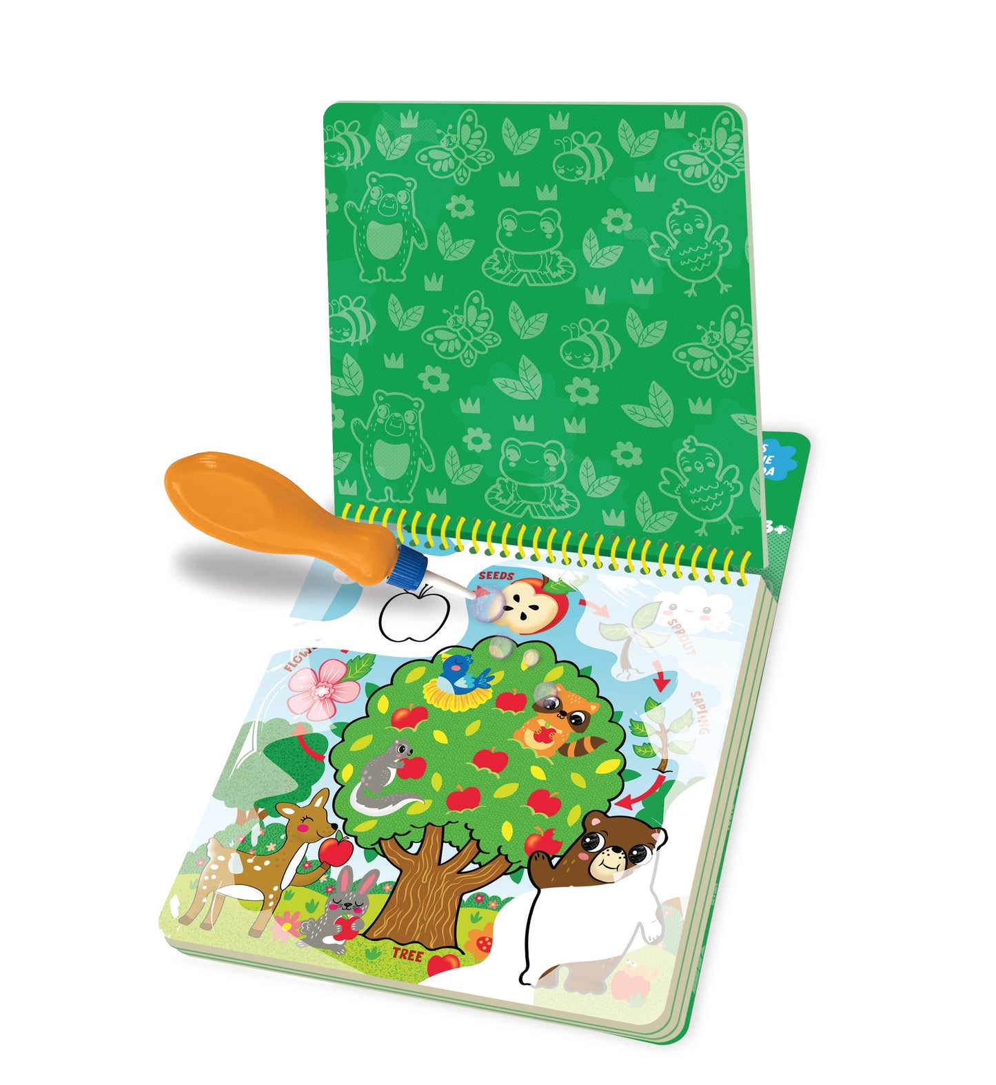 Arts & Crafts- Splash*Tastic