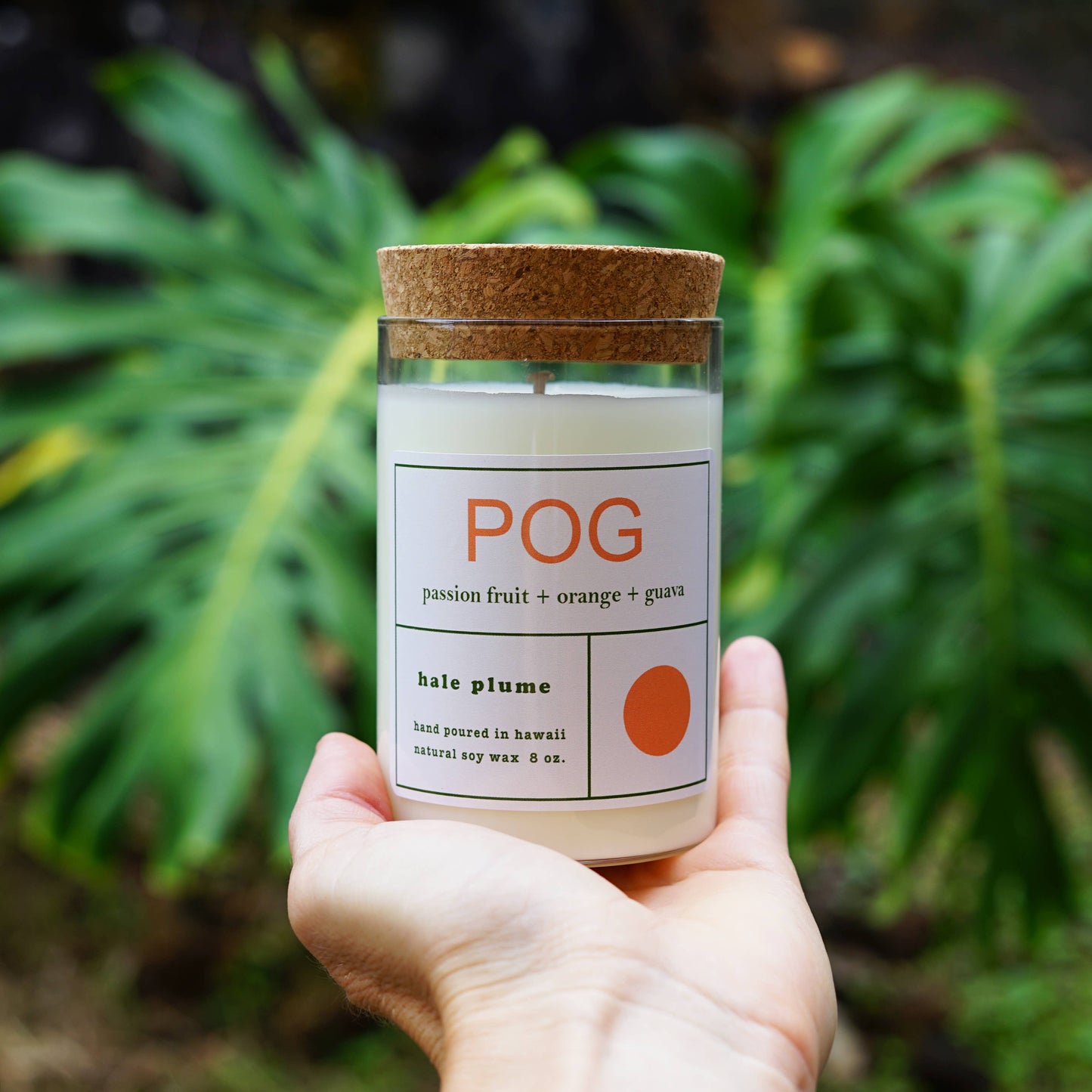 Candle - POG