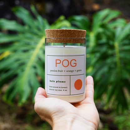 Candle - POG