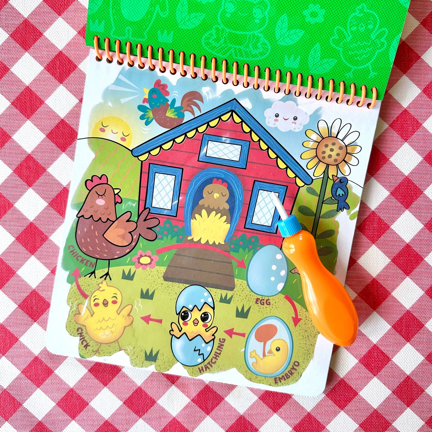 Arts & Crafts- Splash*Tastic