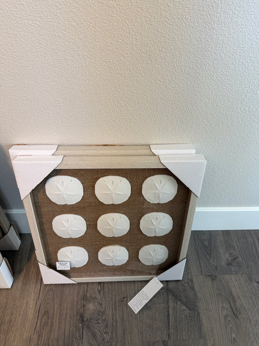 Wall Art: Sanddollar Shadowbox