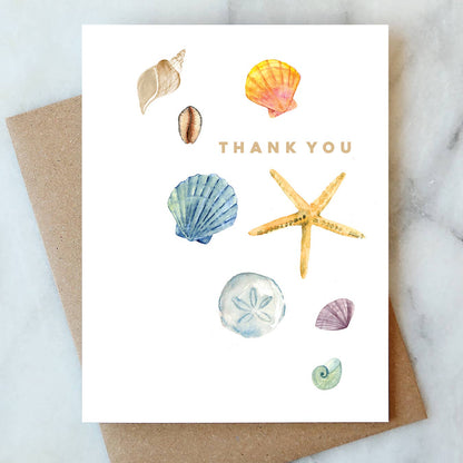 Greeting Card: Shells Thank You