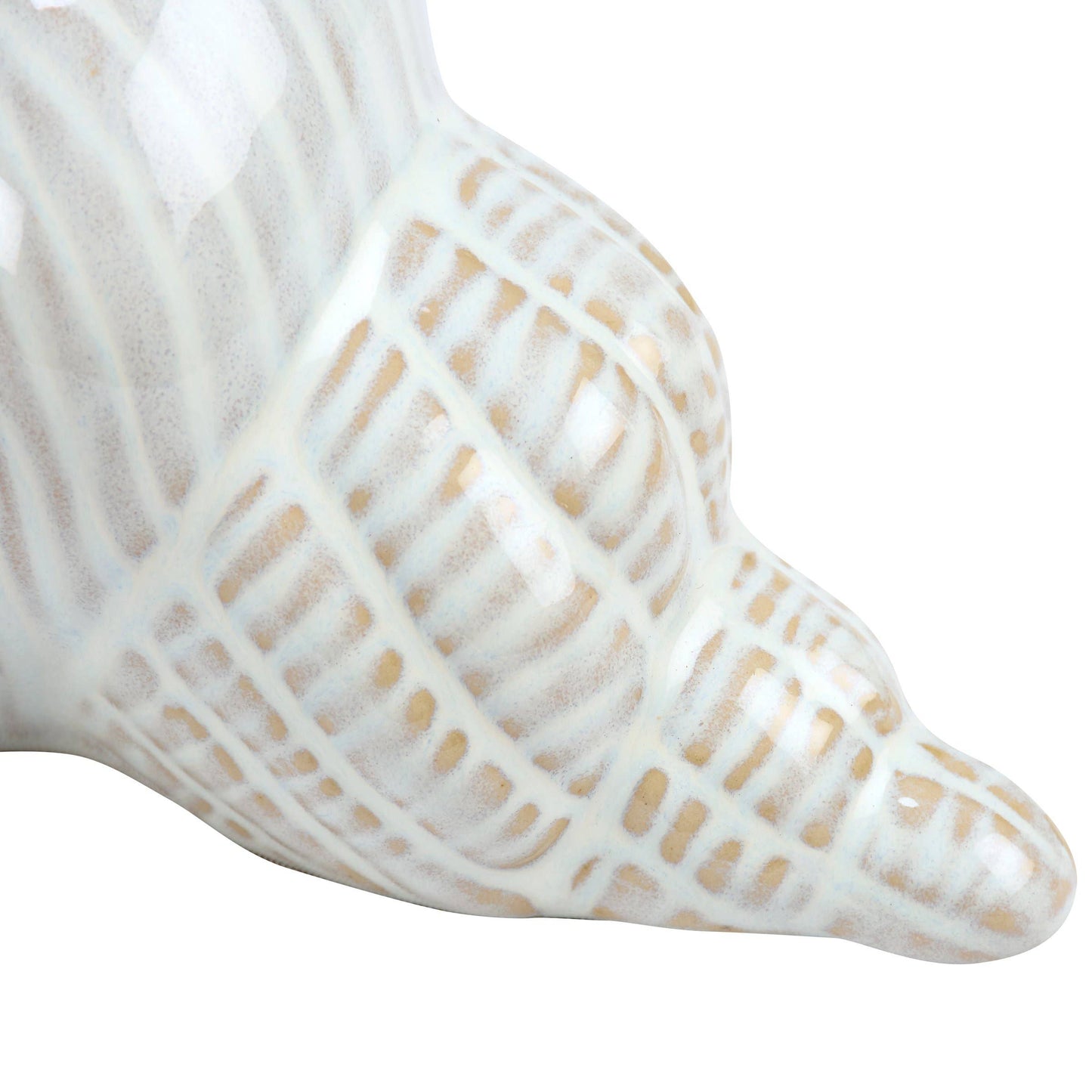 Decor: Conch Shell Sitter