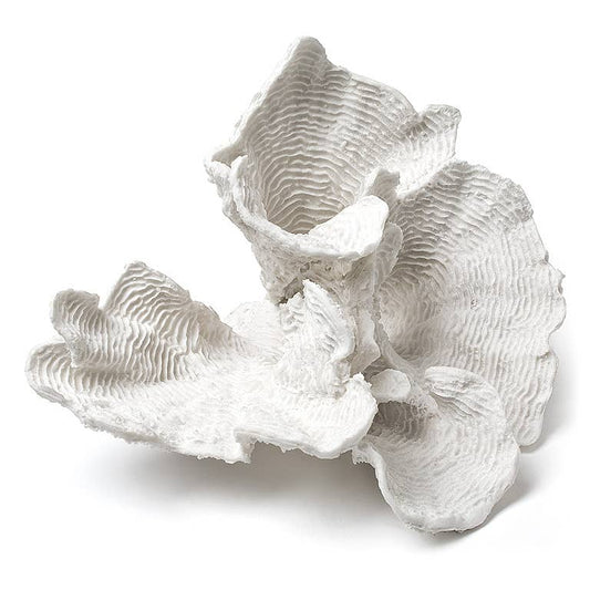 Decor - Large White Flower Coral