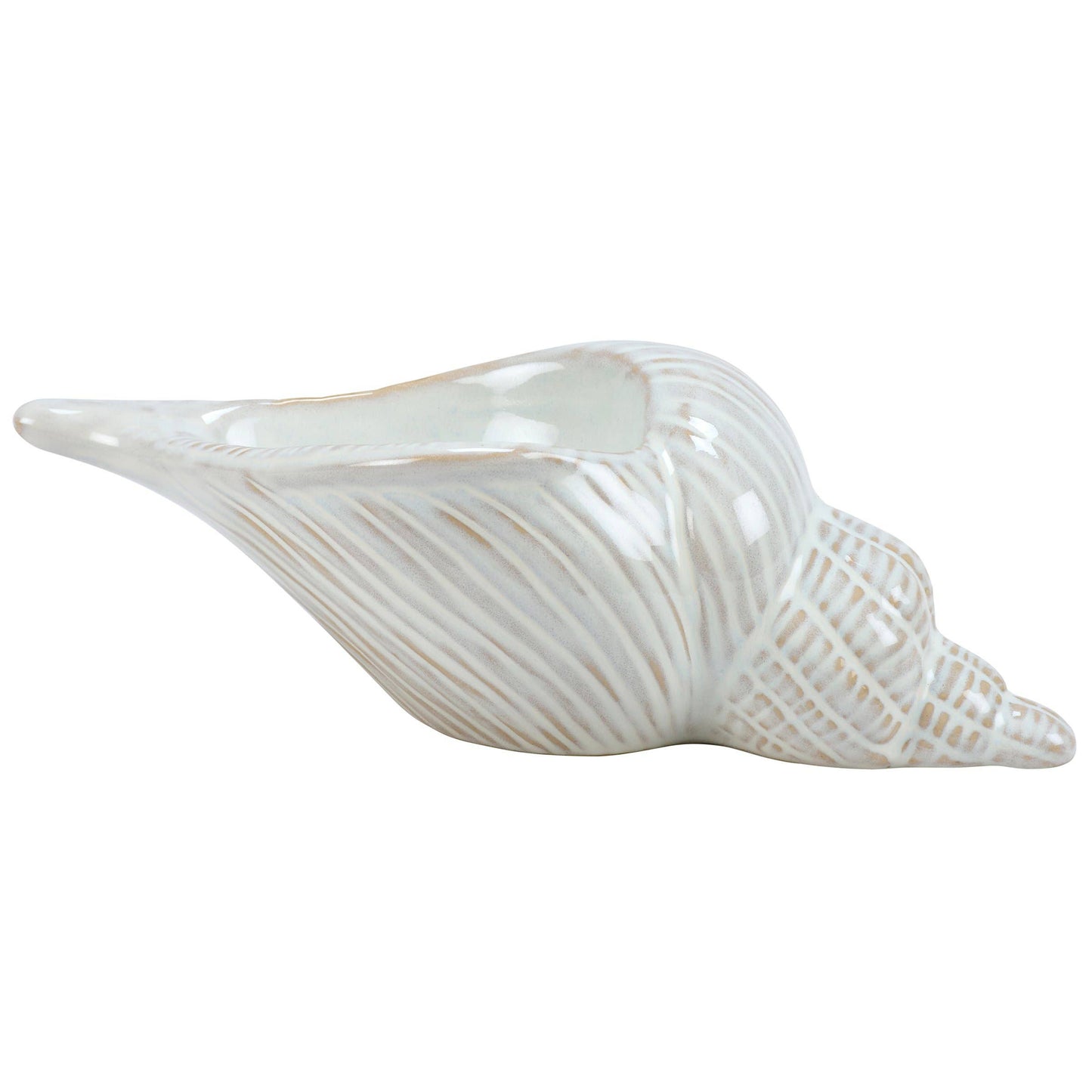 Decor: Conch Shell Sitter